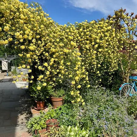 Appartement Grossa - Due Posti Letto - B Brusasco